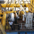 Hungary_Capsized_Boat_45558.jpg