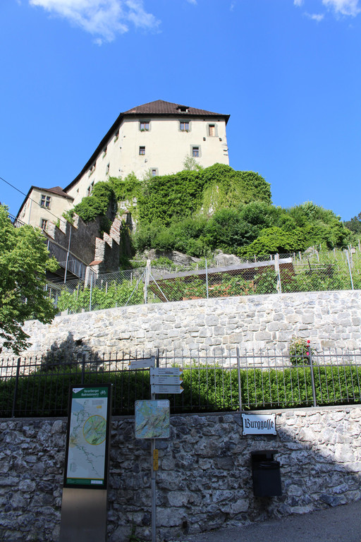 IMG_7992.JPG