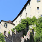 IMG_7993.JPG