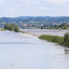 IMG_8875.JPG