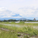 IMG_8851.JPG