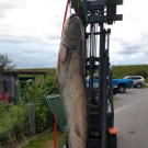 20190608_055814.jpg