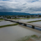 DJI_0355.jpg