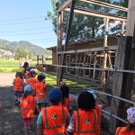 IMG-20190603-WA0015.jpg