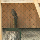 IMG-20190603-WA0068.jpg