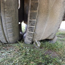 12_06_2019 - API Tribuswinkel_ Foto 6.jpg