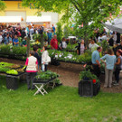 Dorfmarkt _11_.JPG