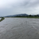 rhein11.jpg