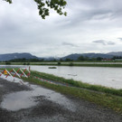 rhein5.jpg