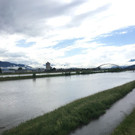 rhein3.jpg