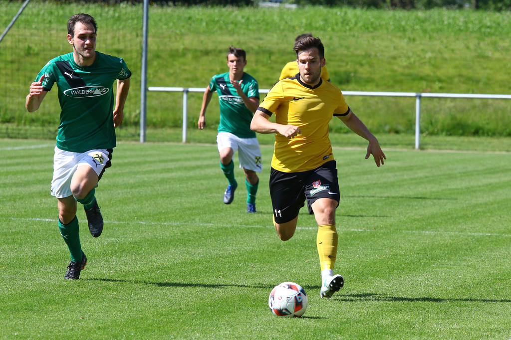 2019-06-08_0047_bearbeitet-1.jpg