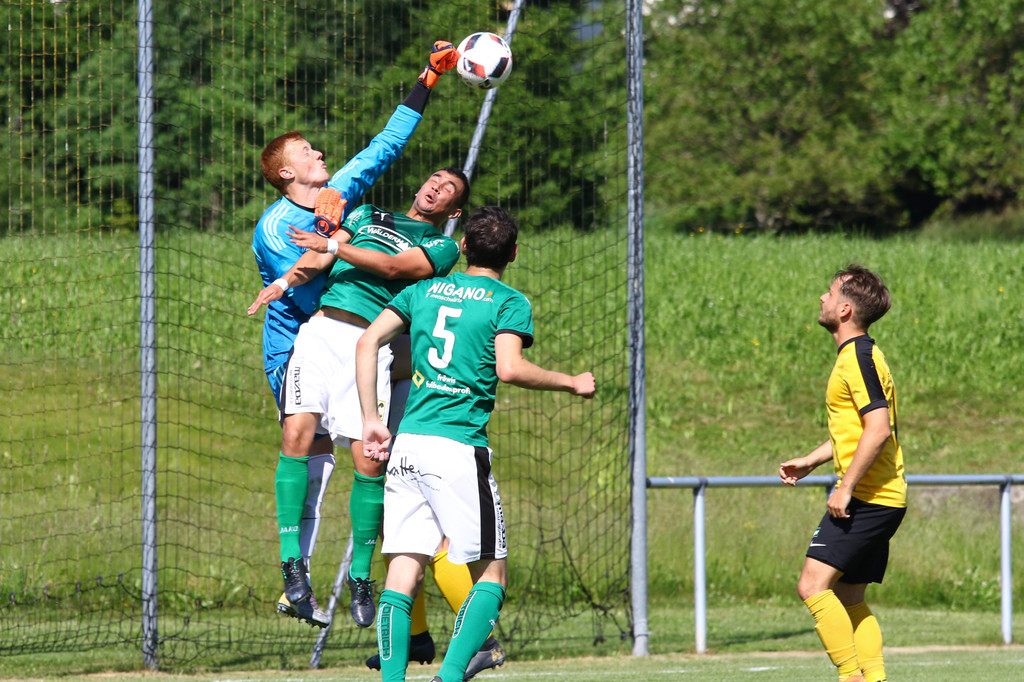 2019-06-08_0128_0130_bearbeitet-1.jpg
