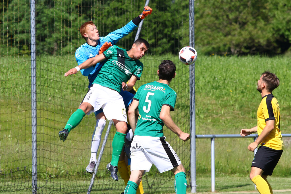 2019-06-08_0129_0128_bearbeitet-1.jpg