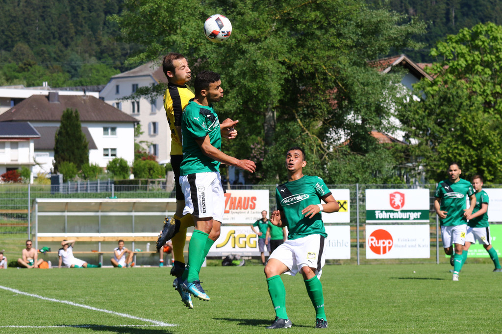2019-06-08_0155_0157_bearbeitet-1.jpg