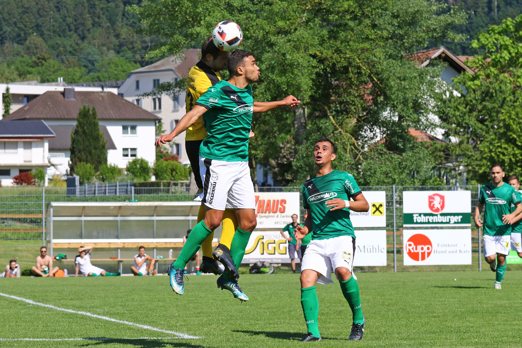 2019-06-08_0156_0156_bearbeitet-1.jpg