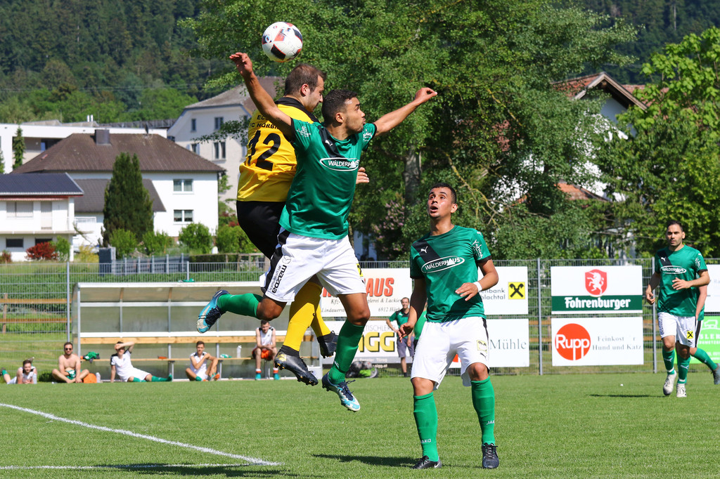 2019-06-08_0157_0158_bearbeitet-1.jpg