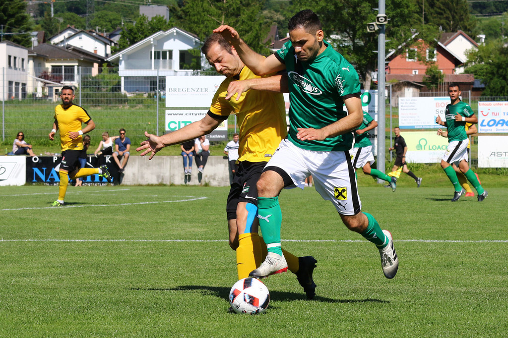 2019-06-08_0244_bearbeitet-1.jpg