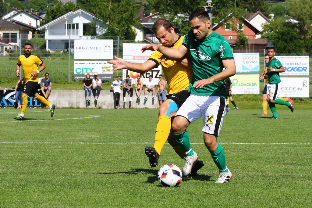 2019-06-08_0245_bearbeitet-1.jpg