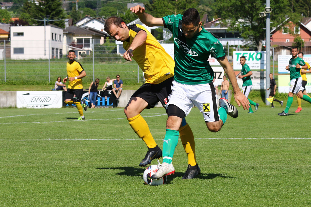 2019-06-08_0246_bearbeitet-1.jpg