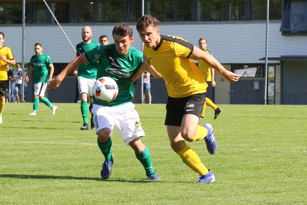 2019-06-08_0294_bearbeitet-1.jpg