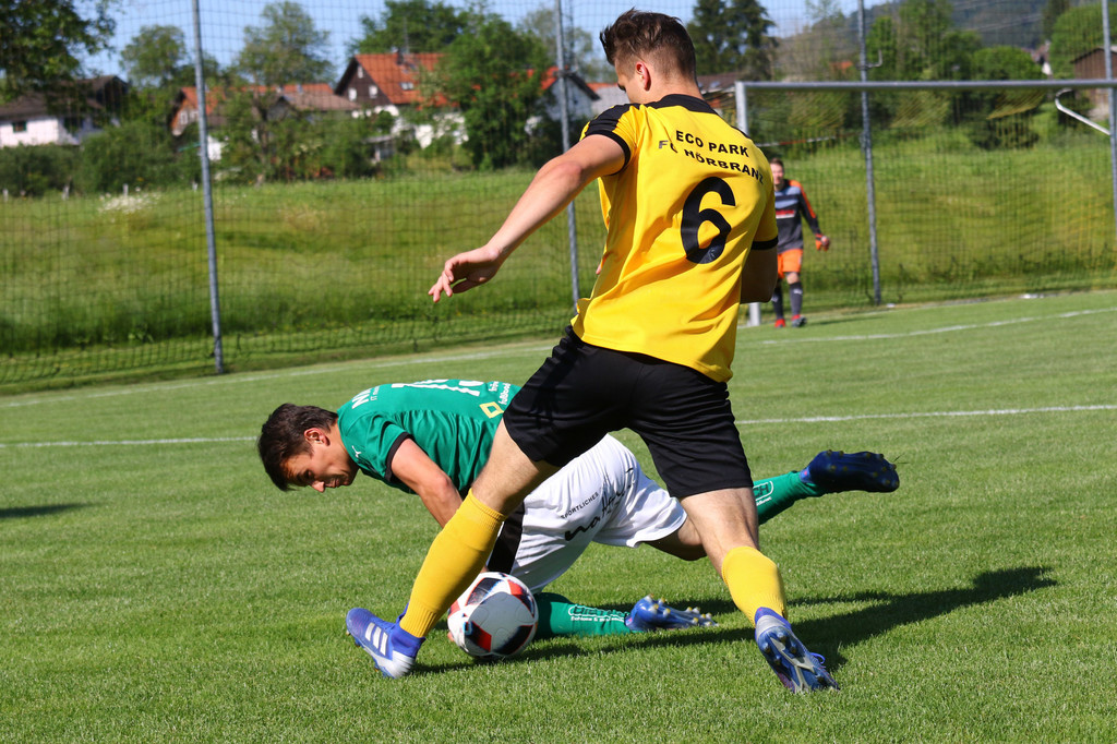 2019-06-08_0303_bearbeitet-1.jpg