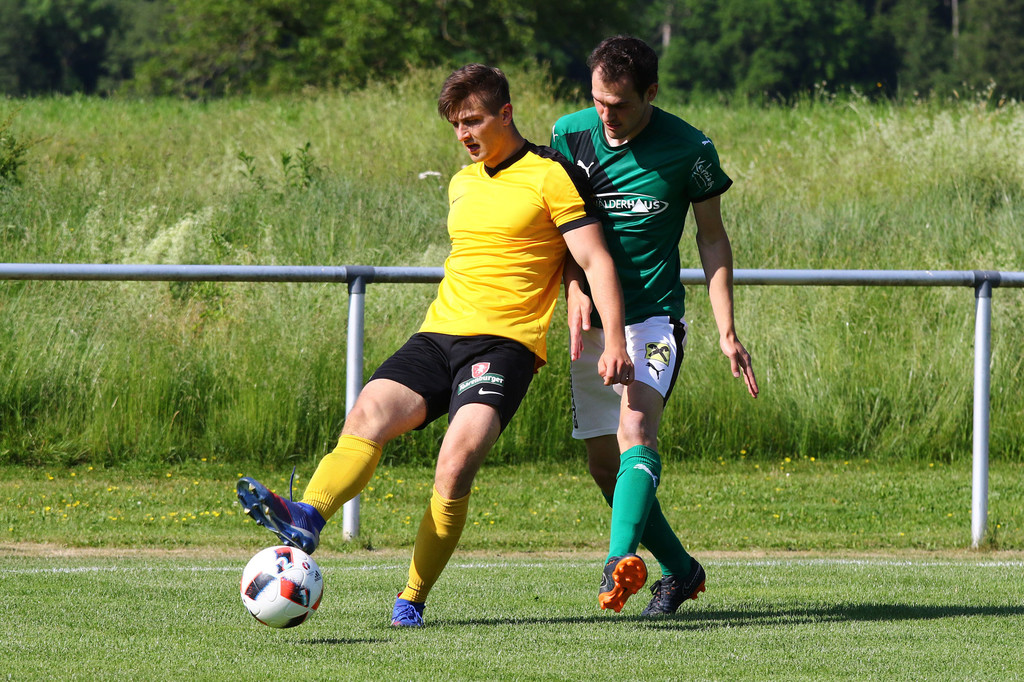 2019-06-08_0313_bearbeitet-1.jpg