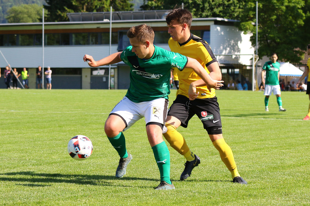 2019-06-08_0348_bearbeitet-1.jpg