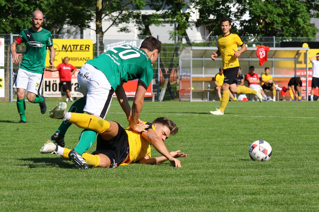 2019-06-08_0446_bearbeitet-1.jpg