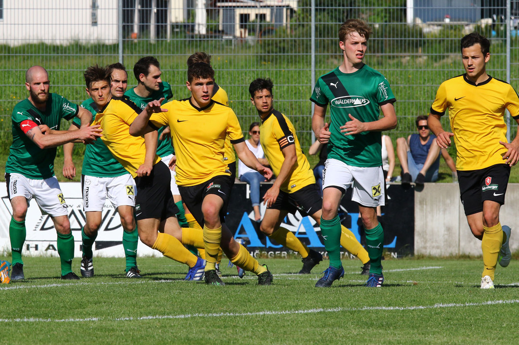 2019-06-08_0449_bearbeitet-1.jpg