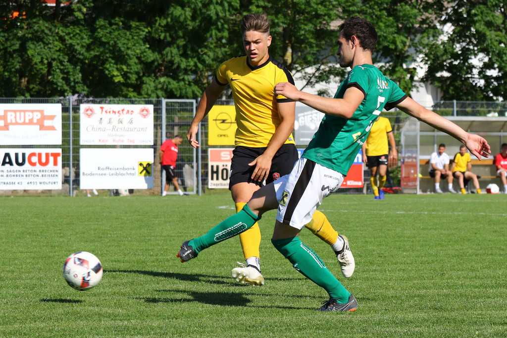 2019-06-08_0471_bearbeitet-1.jpg
