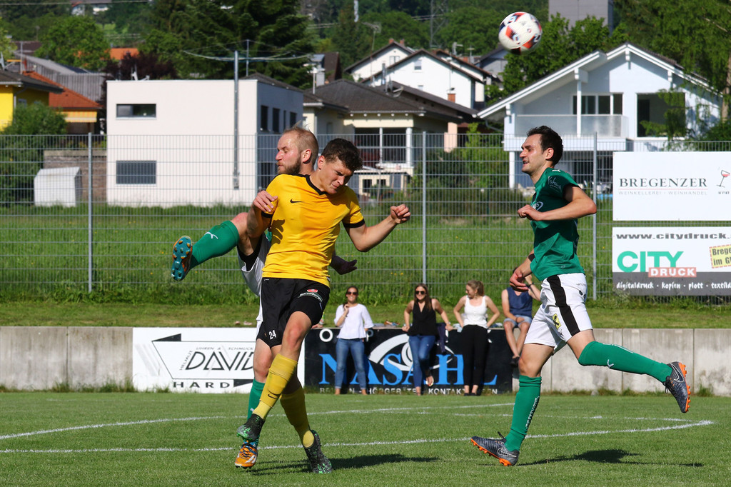 2019-06-08_0535_bearbeitet-1.jpg