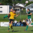 2019-06-08_0535_bearbeitet-1.jpg