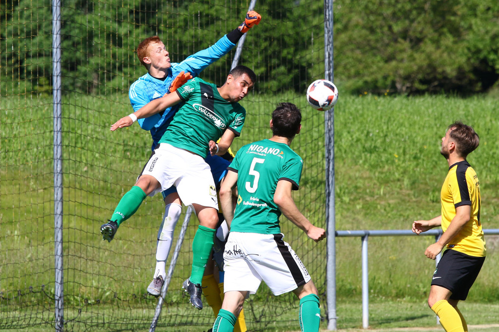 2019-06-08_0129_0128_bearbeitet-1.jpg