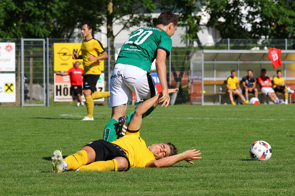 2019-06-08_0447_0442_bearbeitet-1.jpg