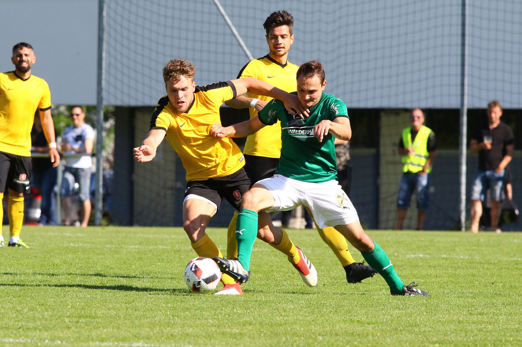 2019-06-08_0463_bearbeitet-1.jpg