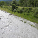 IMG_6467.JPG