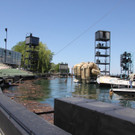IMG_6499.JPG