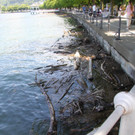 IMG_6560.JPG