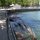 IMG_6563.JPG
