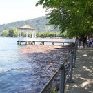 IMG_6565.JPG