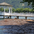 IMG_6566.JPG