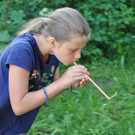 Waldfest10.JPG