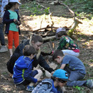 Waldfest13.JPG