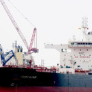 AFP_1HH1XG.jpg