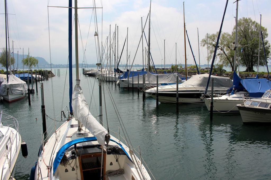 Blauer Anker AUDITIERUNG A Personen 16-05-2019 _16_.JPG