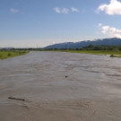 Rheinholzer in der Schweiz 