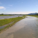 ABD0038-20190611.jpg