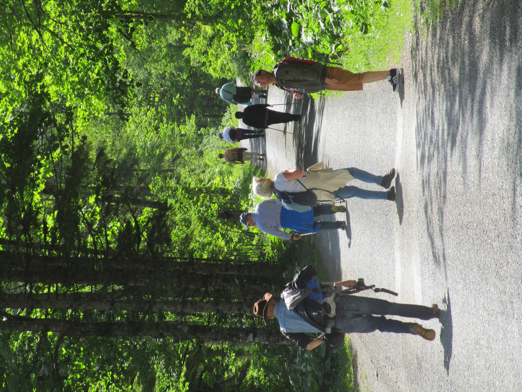 IMG_2237.JPG