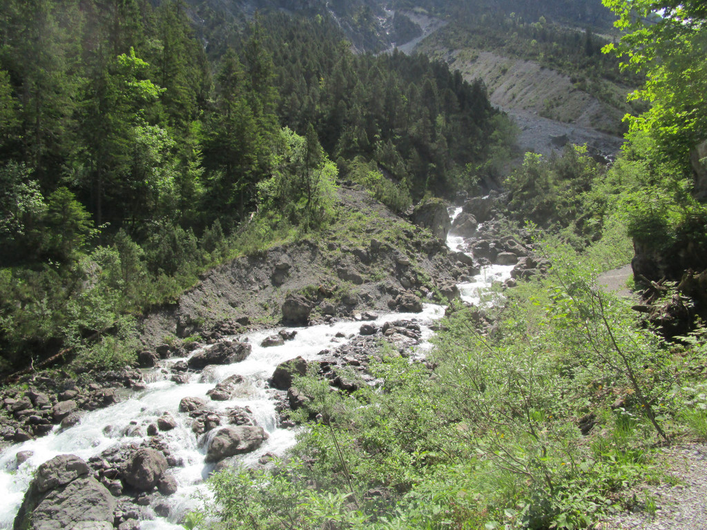 IMG_2244.JPG