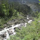 IMG_2244.JPG